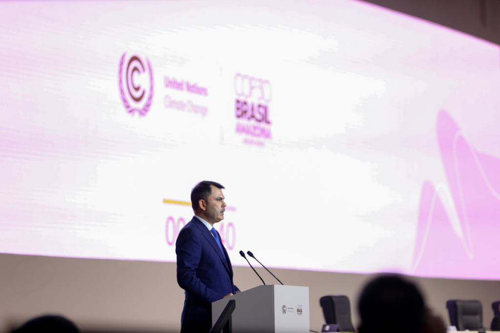 ulusal katkı beyanı