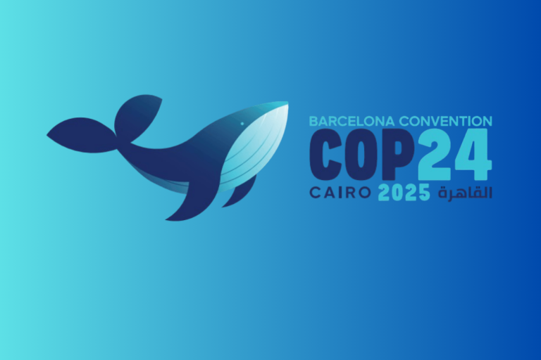 barcelona sözleşmesi