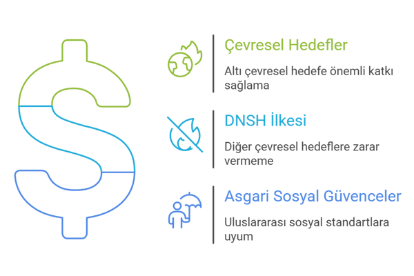 faaliyet yeşil olma şartları